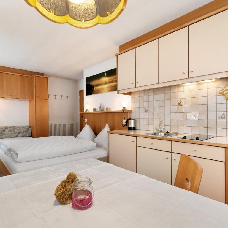 Untersinnerhof Gsies - Estudio con sofá cama - 21