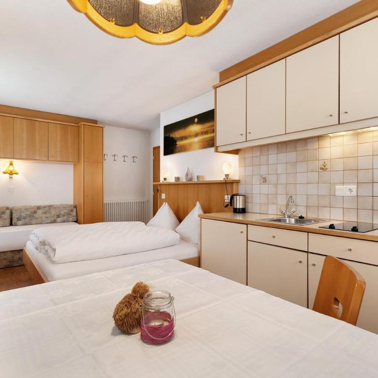 Untersinnerhof Gsies - Estudio con sofá cama - 19