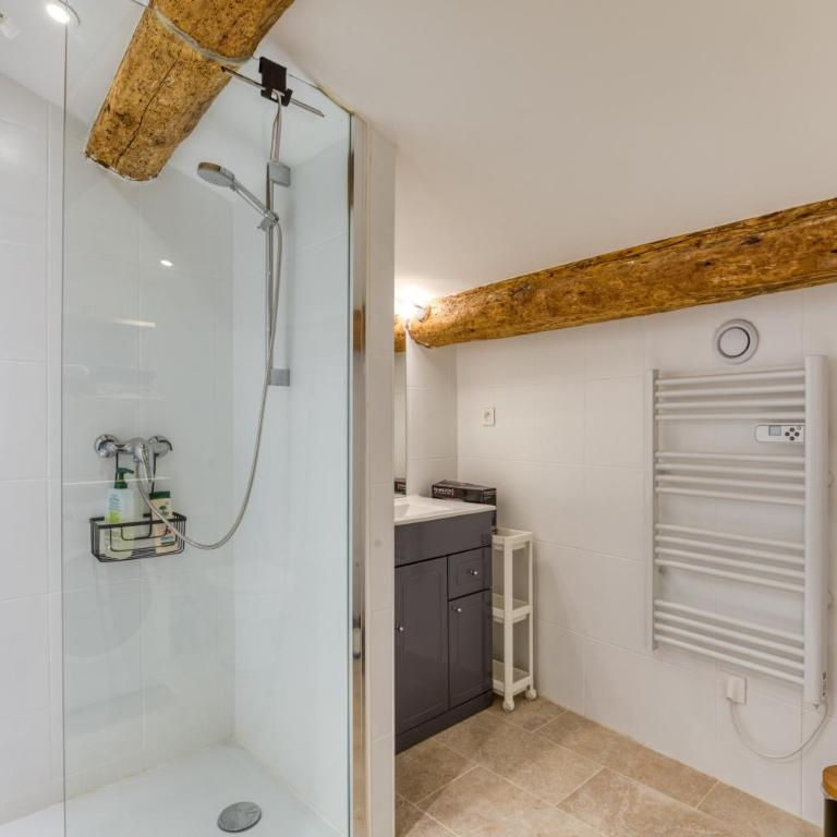 Le Voltaire pour 4 - Apartment with Shower - 22