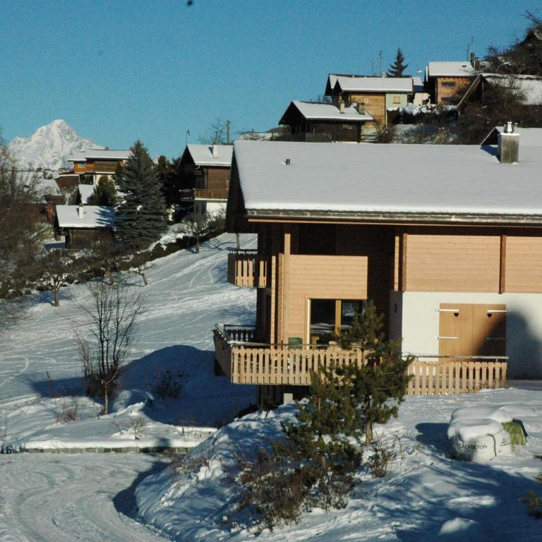 Panoramachalet - Apartment mit Blick auf die Berge - 1