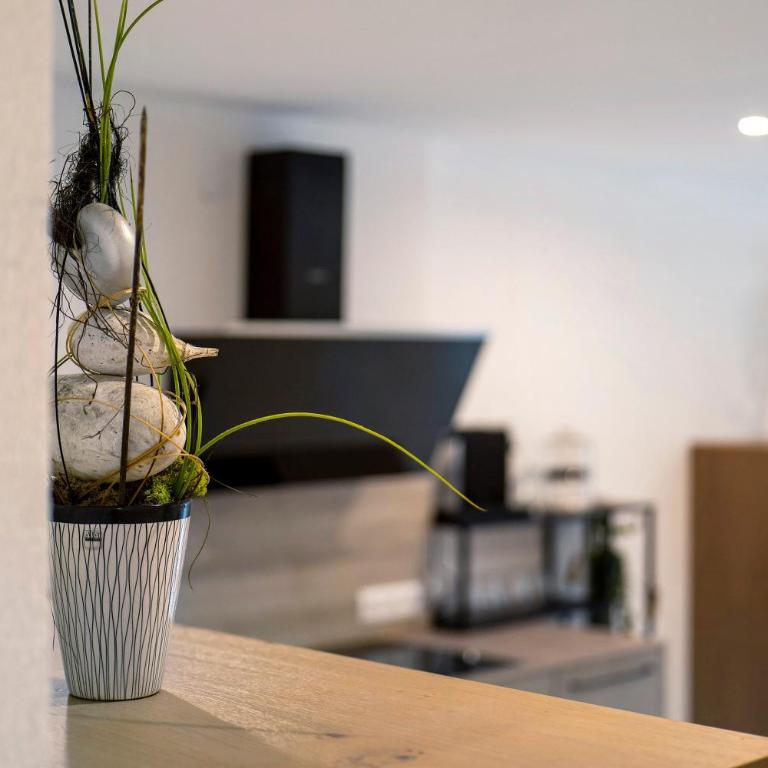 Haus Rickenbach - Apartamento con terraza - 12