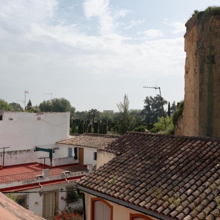 San Basilio - Plaza del Potro - Apartamento de 1 dormitorio - 2