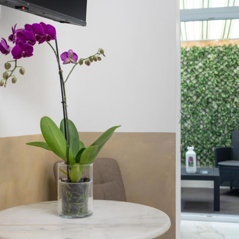 Eralight21 Apartments - Studio with Terrace - 4