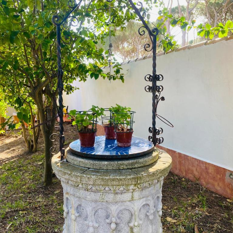 Villa El Limonar piscina compartida - Villa con vistas al jardín - 30