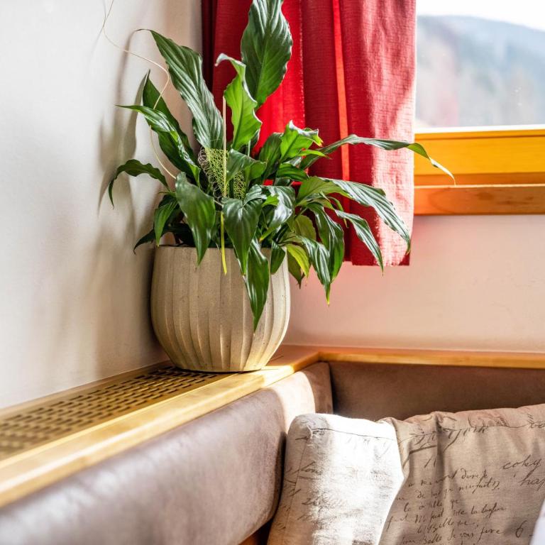 Manuel's App Watschinger - Enzian - Apartamento Superior de 1 dormitorio con balcón - 9
