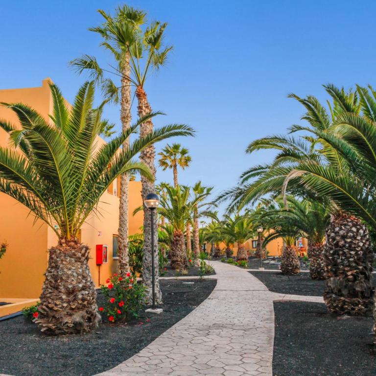 Apartamento Papagayo - Casa de 2 dormitorios - 5