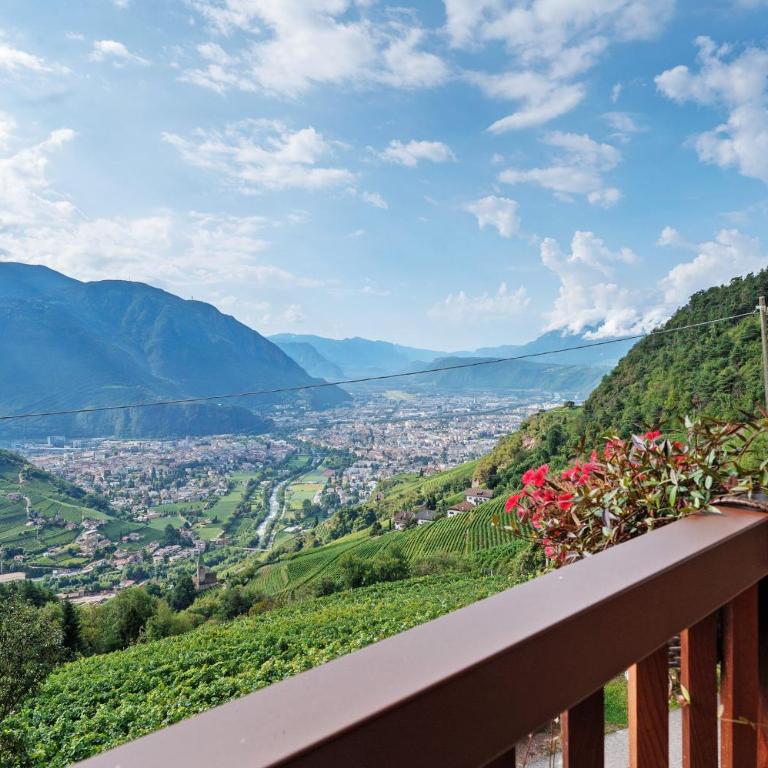 Pfösslerhof - Appartamento Superior con 1 Camera da Letto e Balcone - 2