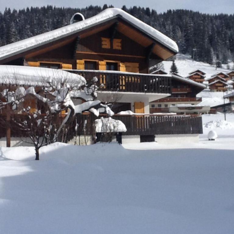 Chalet Perce Neige - Chalet 2 Chambres - 27