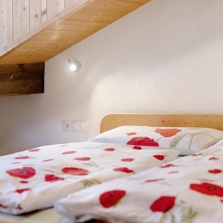 Jelerhof - Monolocale con Divano-Letto - 11