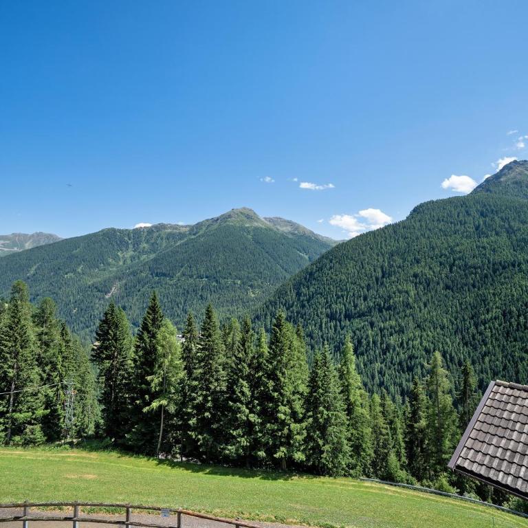 Unterjochmayrhof - Appartement 1 Chambre Supérieur avec Balcon - 6