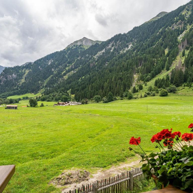 Ferienhaus Larch Soge Apt Paula - Apartamento Deluxe de 2 dormitorios con vistas al jardín - 20