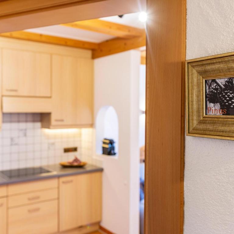 Häuslerhof App Pinus - Appartamento Superior con 1 Camera da Letto e Balcone - 19