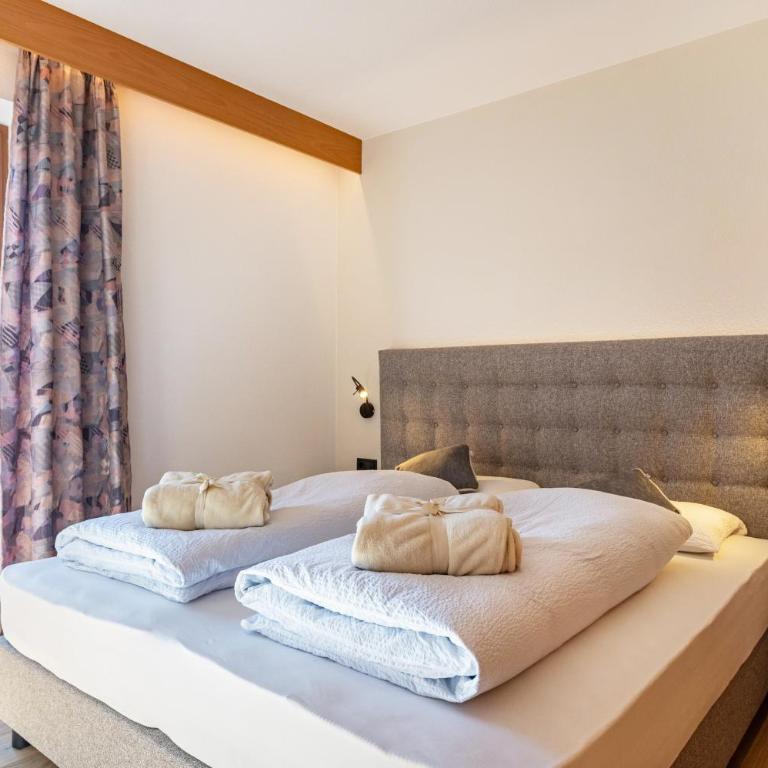 Häuslerhof App Pinus - Appartamento Superior con 1 Camera da Letto e Balcone - 13