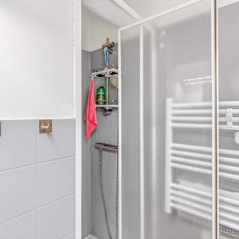 Superdévoluy Les Issarts - Superior Apartment mit 1 Schlafzimmer und Balkon - 11