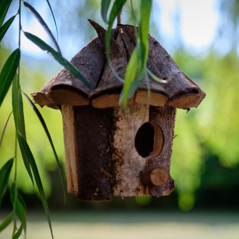 Villa De Marchi - Villa - Vue sur Jardin - 18
