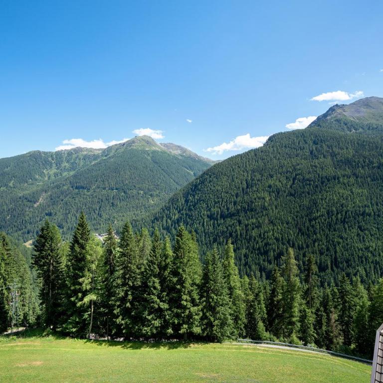 Unterjochmayrhof - Two-Bedroom Deluxe Apartment with Garden View - 2