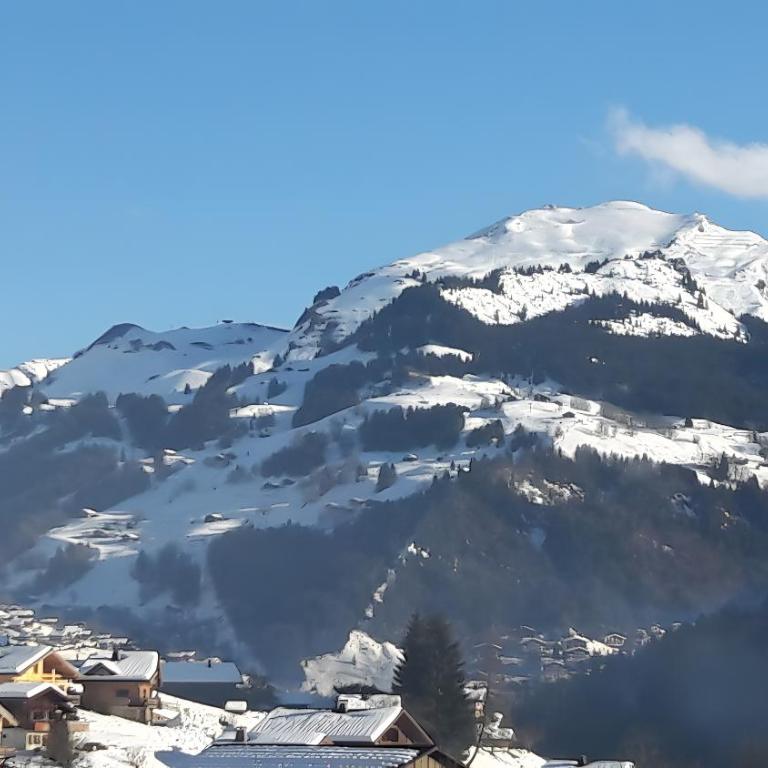 Appartement La Porte Des Aravis - Two-Bedroom Deluxe Apartment with Garden View - 21