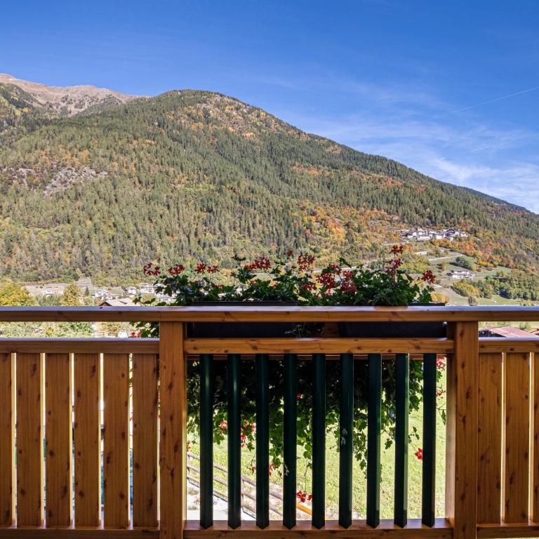 Casa Penasa Appartamento 1 - Apartamento Deluxe de 2 dormitorios con vistas al jardín - 8