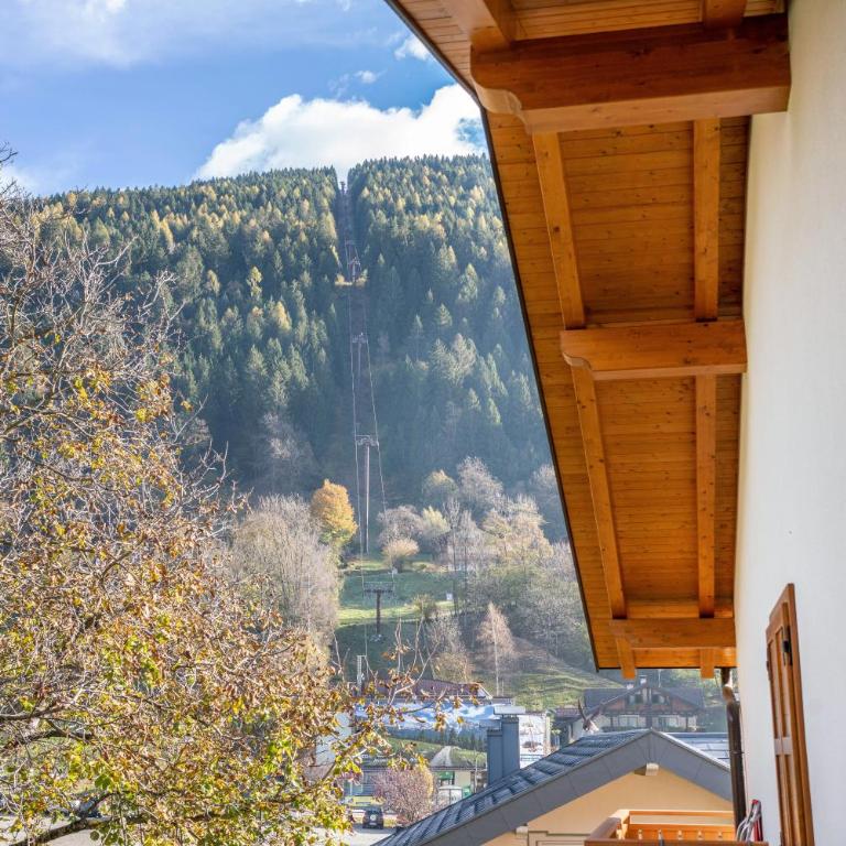 Condominio Lucia 12 Pinzolo - Appartamento Deluxe con 2 Camere da Letto e Vista Giardino - 17