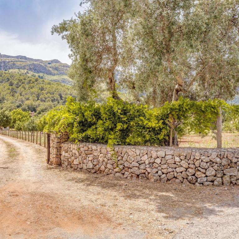 Finca L'hort Nou - Villa - 27