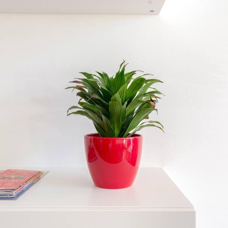 Quiet, bright and central apartment - Apartamento Deluxe de 2 dormitorios con balcón - 27
