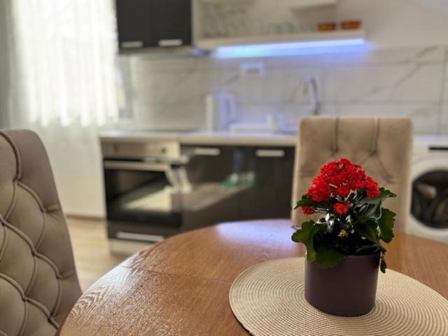 Gaga Gardoš Tower - Apartman sa 1 Spavaćom Sobom - 11