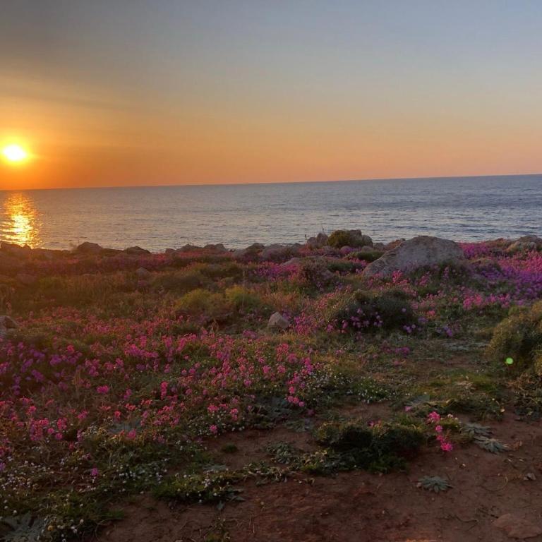 Villa sul mare Vista Tramonto - Villa con Vista Mare - 30