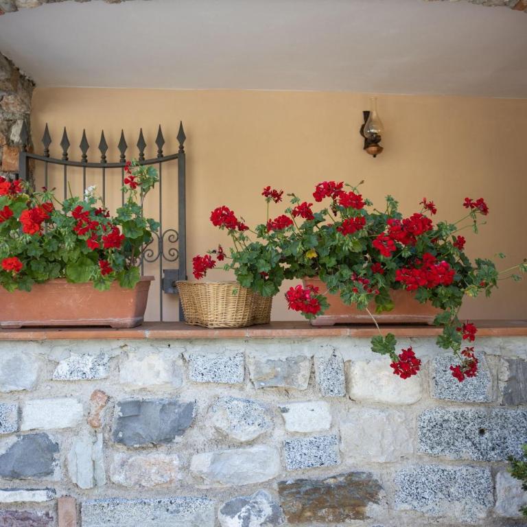 Casa Rita app 4 A - Appartamento con Terrazza - 20