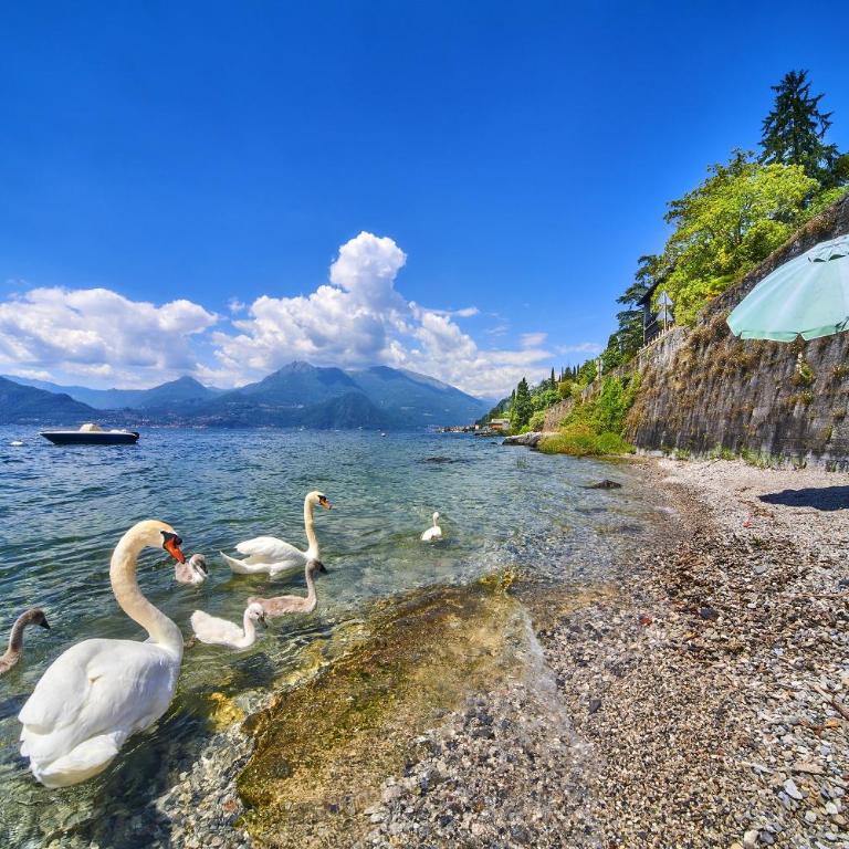 El Lavandee - Appartamento con 2 Camere da Letto e con Vista Montagna - 26