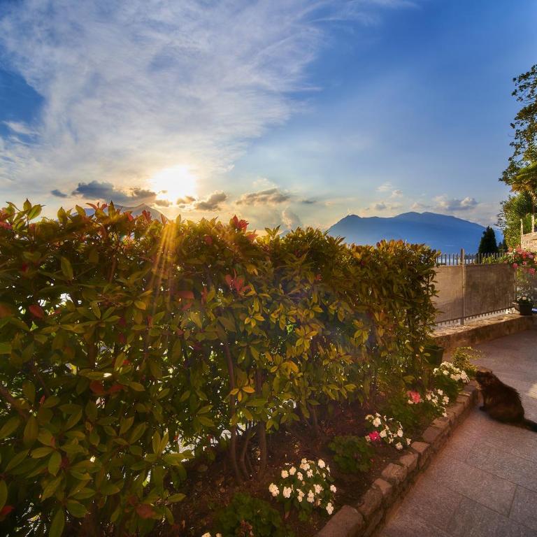 El Lavandee - Appartamento con 2 Camere da Letto e con Vista Montagna - 29