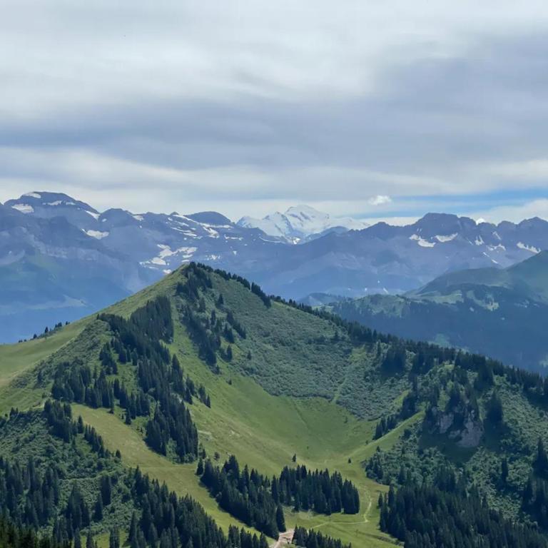 Duo d'appartements - Chatel - Appartement Supérieur avec Balcon - 31