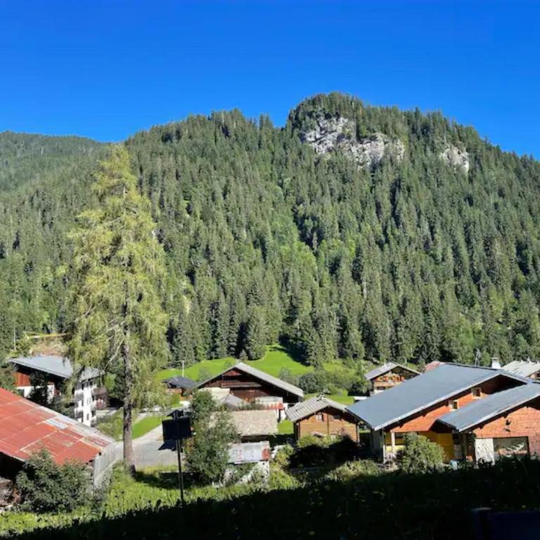 Duo d'appartements - Chatel - Appartement Supérieur avec Balcon - 32