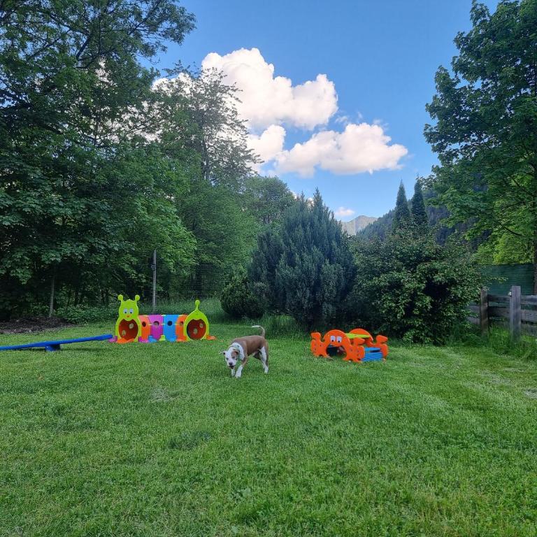 Appartamento Adamello 15 - Apartment mit Dusche - 21