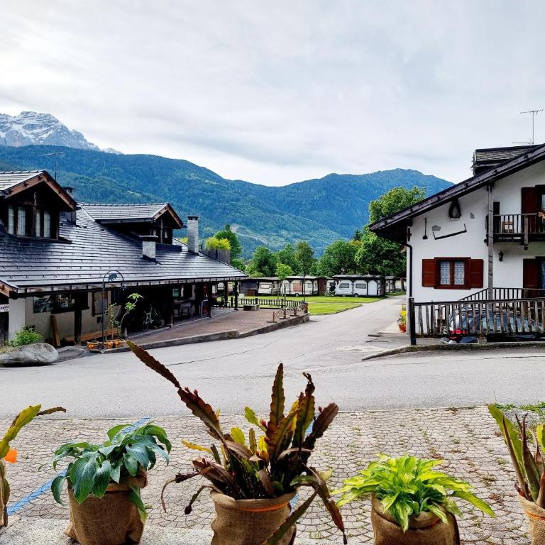 Appartamento Adamello 15 - Apartment mit Dusche - 30
