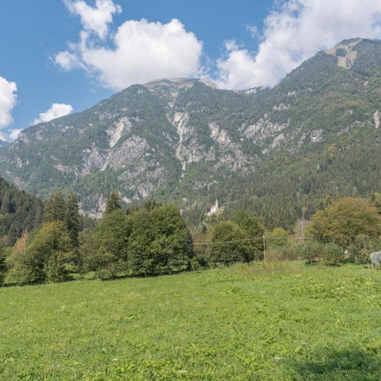 Appartamento Adamello 15 - Apartment mit Dusche - 32