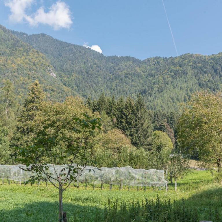 Appartamento Adamello 15 - Apartment mit Dusche - 33