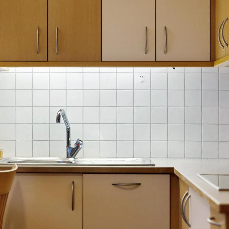 Residence Linderhof - Apartamento de 1 dormitorio con jardín - 6