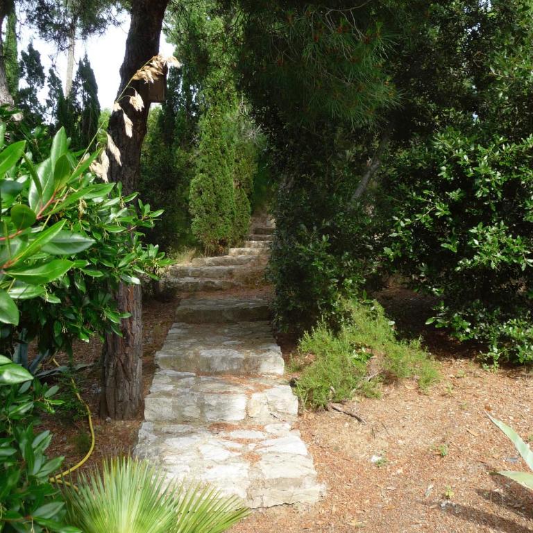 Villa Le Ginestre di mare - Villa con Vista Mare - 10