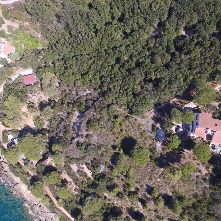 Villa Le Ginestre di mare - Villa con Vista Mare - 22