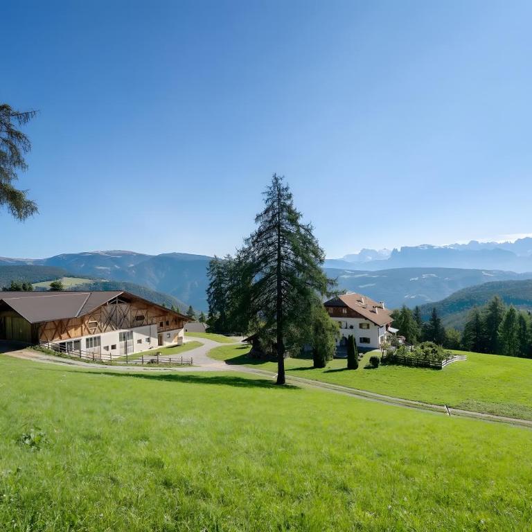 Stücklhof Wohnung Veilchen - Appartamento Superior con 1 Camera da Letto e Balcone - 29