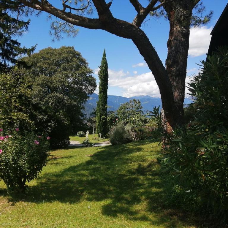 Villa Pinie Apt 2 - Superior Apartment mit Stadtblick - 21