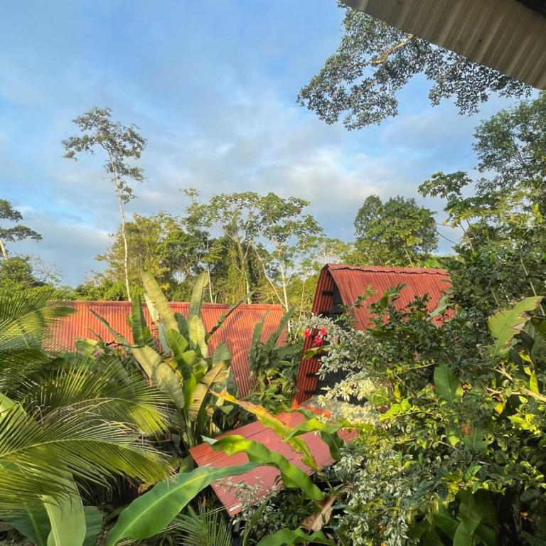 Salvaje trip - Casa - 1