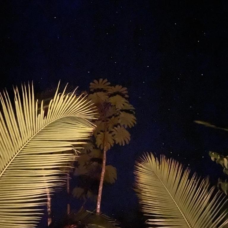 Salvaje trip - Casa - 46