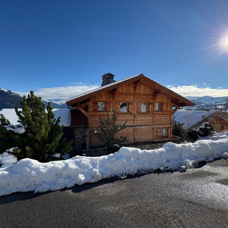 Chalet face au Mont Blanc wellnes - Chalet - 35