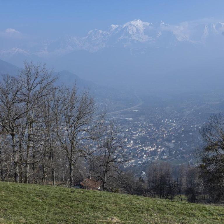 Chalet face au Mont Blanc wellnes - Chalet - 34