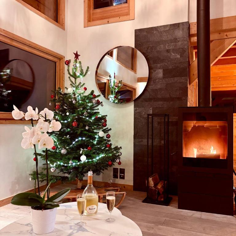 Chalet face au Mont Blanc wellnes - Chalet - 38