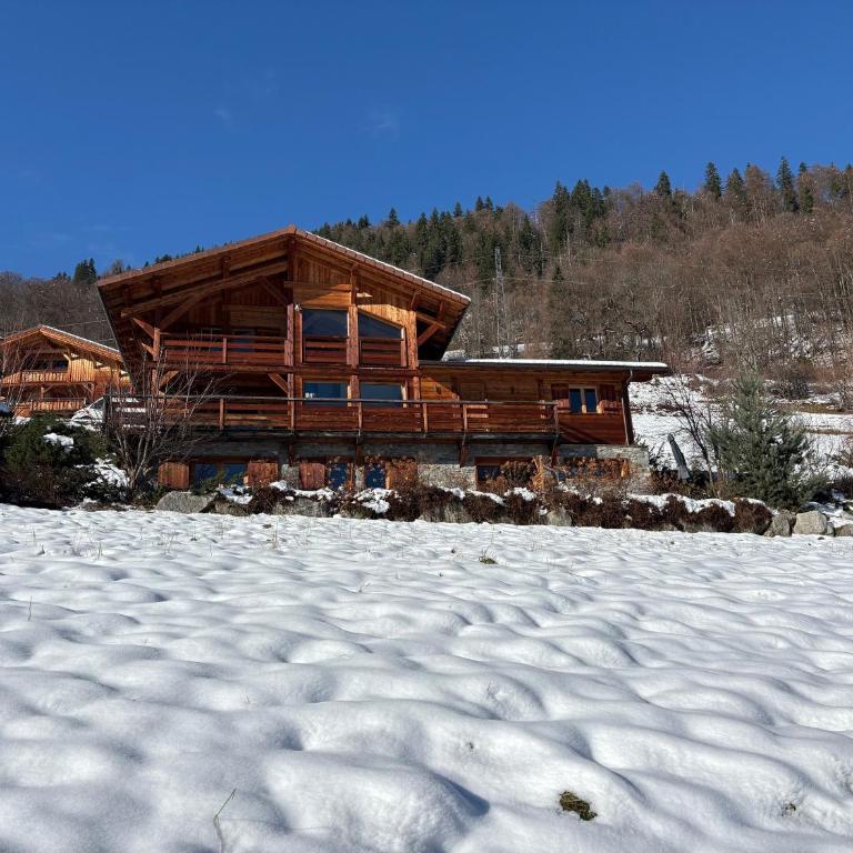 Chalet face au Mont Blanc wellnes - Chalet - 37