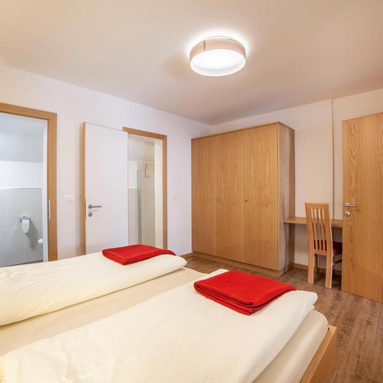 Schnitzer Ferienwohnung Anemone - Appartement 1 Chambre - Vue sur Jardin - 6