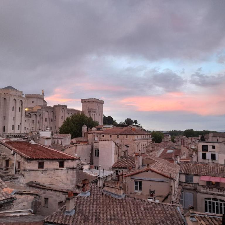 Appart face au Palais des Papes - Appartamento Superior con Vista Città - 11