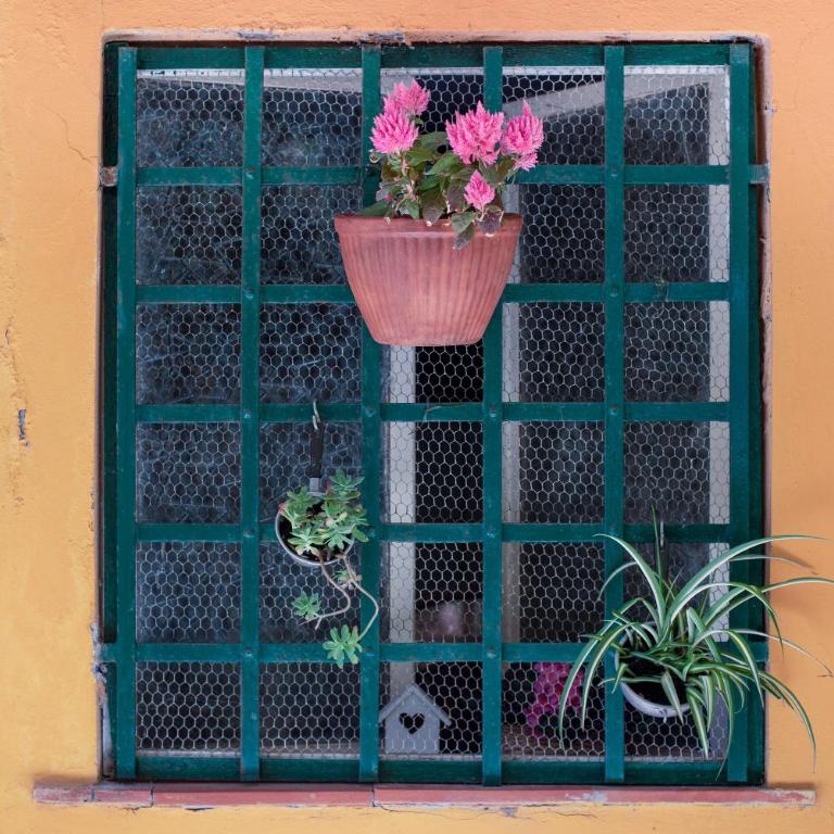 Un'oasi al Mare - Appartamento Deluxe con 2 Camere da Letto e Vista Giardino - 24